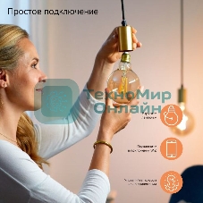 Лампа светодиодная филаментная Gauss Smart Home DIM E27 A60 7 Вт 1/10/40