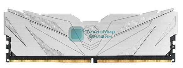 Оперативная память NETAC, DDR5, 16Gb (1x16Gb), 4800MHz, CL40, DIMM, с радиаторами, белый