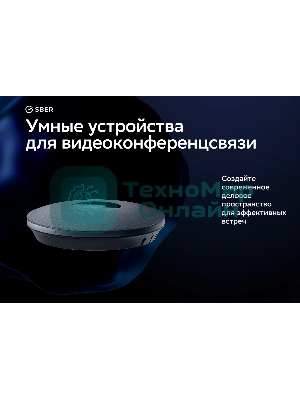 Микрофон Sber SDMIC-001