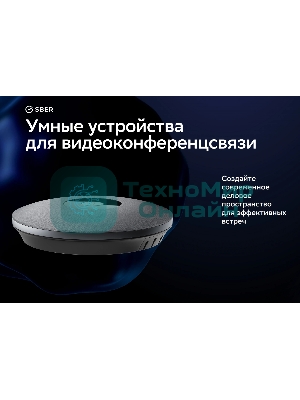 Микрофон Sber SDMIC-001