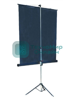 Экран на треноге Lumien 153x203см Master View LMV-100107 4:3 напольный рулонный
