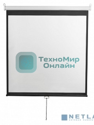 Экран 240x240см Digis Optimal-D DSOD-1107 1:1 настенно-потолочный рулонный