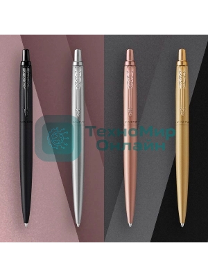 Ручка шариковая Parker Jotter Monochrome XL SE20 (CW2122756) Stainless Steel, M, синие чернила, подарочная коробка