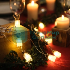 Гирлянда светодиодная Neon-night 