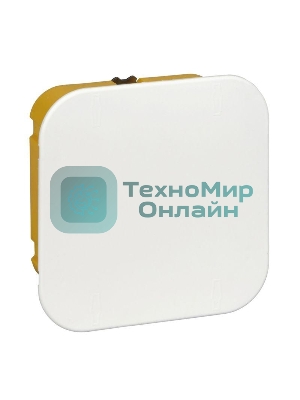 Коробка распр. СП 100х100х50 для г/к SchE IMT35161