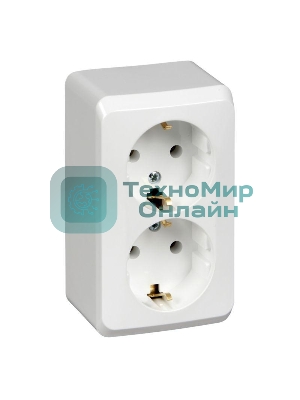 Розетка 2-м ОП Этюд 16А с заземл. белый SchE PA16-007B