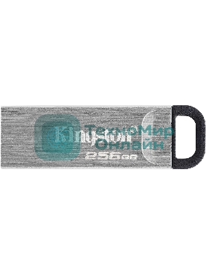 Флешка USB Kingston KYSON (DTKN/256GB), 256Gb, USB 3.2 Gen 1, R/W 200/60, серебристый/черный