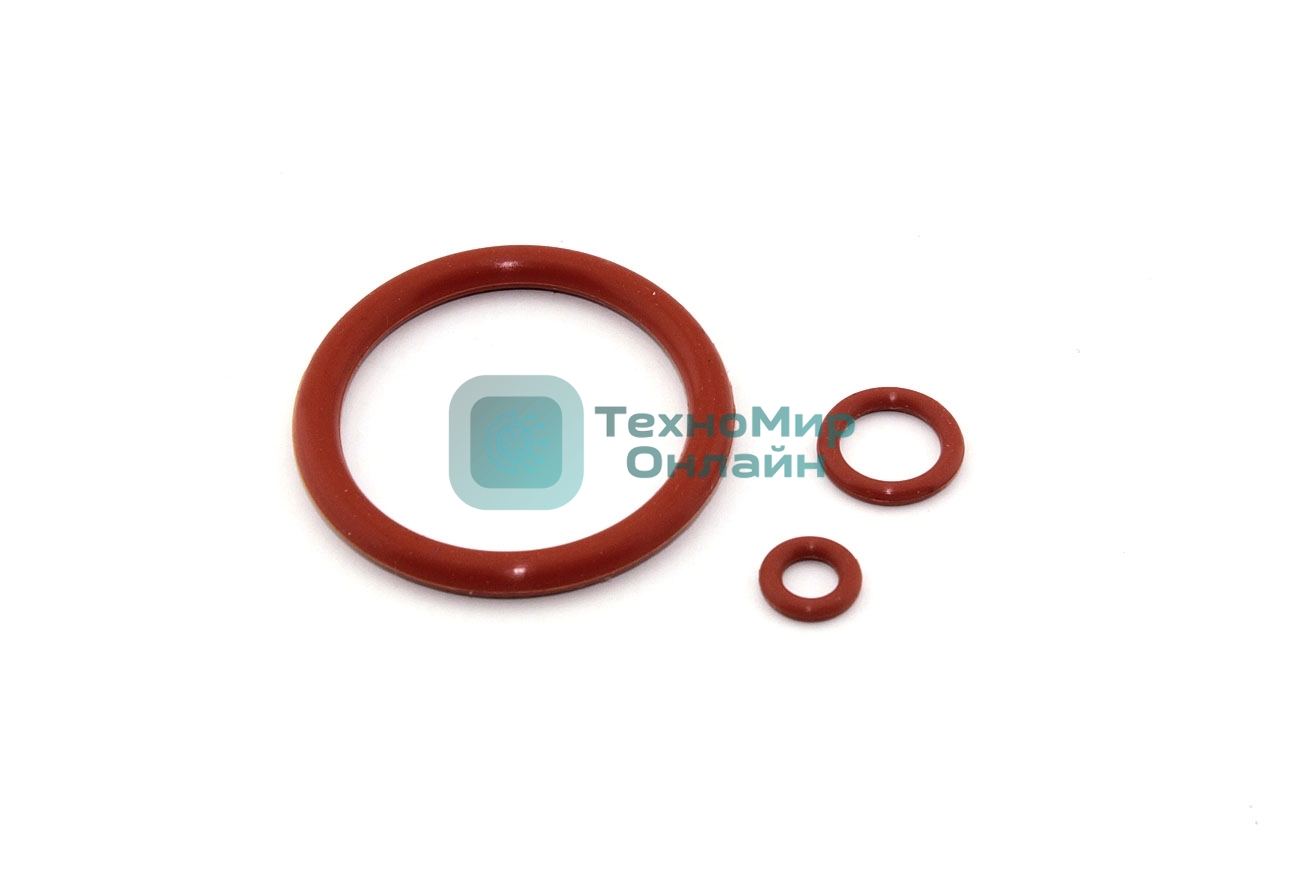 Ремкомплект заварочного блока кофемашин Philips/Saeco 5 шт