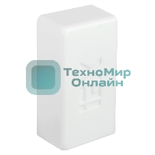 Заглушка КМЗ 100х60 ЭЛЕКОР (уп.2шт) IEK CKMP10D-Z-100-060-K01