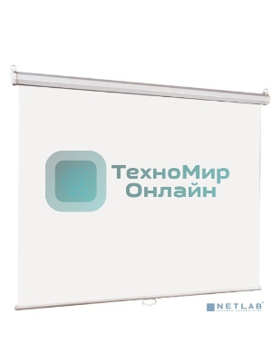 Настенный экран Lumien Eco Picture 198х300 см (рабочая область 164х292 см) Matte White прямоуголный корпус, возможность потолочн./настенного крепления, уровень в комплекте, 16:9