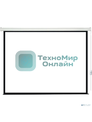 Экран с электроприводом Lumien Eco Control 244x244 см (раб. область 236х236 см) Matte White черная кайма по периметру 1:1