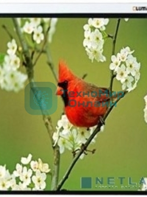 Экраны LUMIEN LUMIEN Master Picture LMP-100129 220*220 1:1, черная кайма по периметру