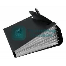 Папка-портфель Бюрократ -BPP6BLCK 6 отделений, A4, пластик, 0.7мм, черный