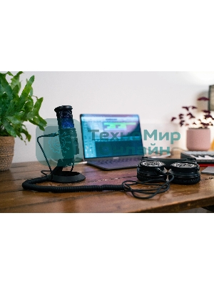 Микрофон проводной Audio-Technica AT2020USBX 2.0м черный