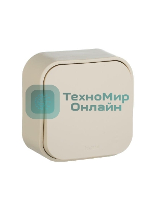 Выключатель 10A 1-клав., сл. кость Quteo