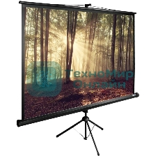 Экран Cactus 135x180 см TriExpert CS-PSTE-180х135-BK 4:3 напольный рулонный
