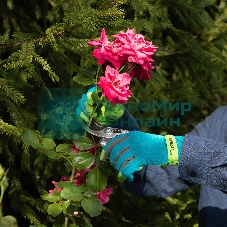 Перчатки садовые Luxe Palisad на липучке, силиконовое нанесение, размер 7