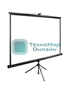 Экран Cactus 200x200 см TriExpert CS-PSTE-200х200-BK 1:1 напольный рулонный