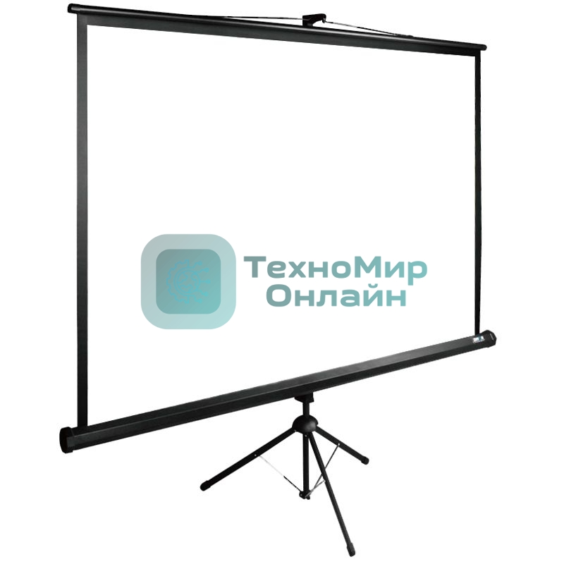 Экран Cactus 160x160 см TriExpert CS-PSTE-160x160-BK 1:1 напольный рулонный