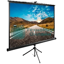 Экран Cactus 160x160 см TriExpert CS-PSTE-160x160-BK 1:1 напольный рулонный