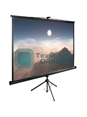 Экран Cactus 180x180 см TriExpert CS-PSTE-180x180-BK 1:1 напольный рулонный