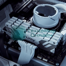 Оперативная память Kingston Fury Renegade, DDR5, 32Gb (2x16GB), 7200MHz, CL38, DIMM, радиатор, белый