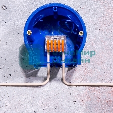 Универсальная клемма Rexant 5-проводная, прозрачная (0,08-2,5/4 мм²) (40 шт./уп.)