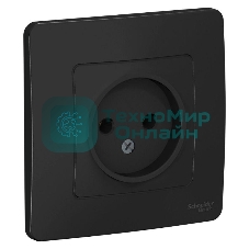 Розетка СП Blanca 16А 250В без шторок без заземл. антрацит SchE BLNRS000016
