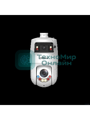 Камера видеонаблюдения Dahua DH-SDT4E225-4F-GB-A-PV1-0280-S2