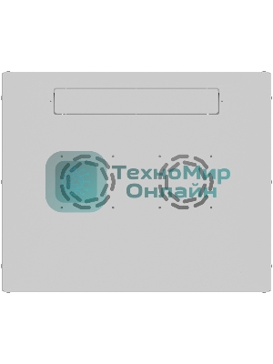 Шкаф коммутационный NTSS LIME (NTSS-WL6U5545GS) настенный 6U 550x450 мм пер. дв. стекл несъемн. бок. пан. 30 кг серый 110 град.