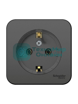 Розетка с/з без шторок, (тонкая) 16А, 250В, изолир. пластина SE Blanca наруж Антрацит