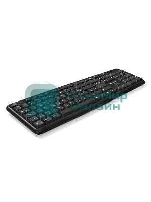 Клавиатура проводная ExeGate Professional Standard LY-405 (EX287138RUS), USB, черный