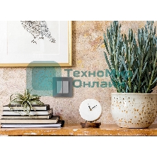 Выключатель 2-клавишный с подсветкой/индикацией 10AX 250 В алюминий