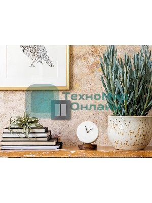 Выключатель 2-клавишный с подсветкой/индикацией 10AX 250 В алюминий