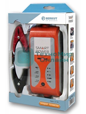 Зарядное устройство Berkut SP-4N