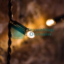 Гирлянда светодиодная Neon-night 