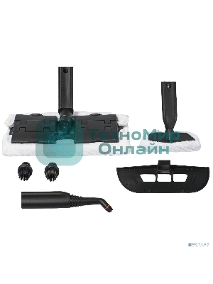 Пароочиститель Bort BDR-2500-RR-Iron, напольный, 2,3 кВт., давление 4 бар, пар 45 г/мин., t-пара 143 °С., бак 1.5 л.