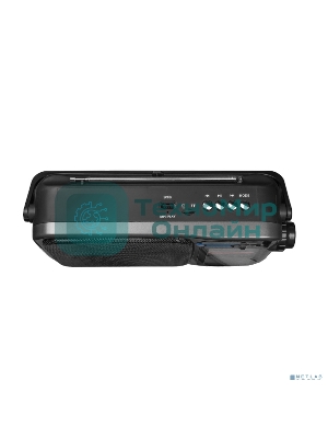 Радиоприемник Ritmix RPR-320, серый