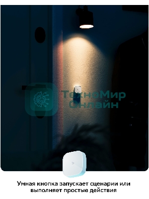 Умная кнопка СБЕР/SBER (SBDV-00032) 