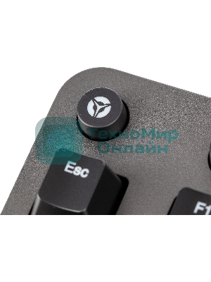 Клавиатура Lenovo Legion K500 RGB Mechanical проводная, USB Type-A, серый