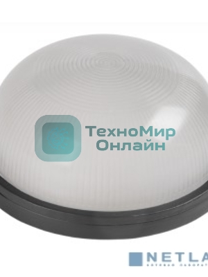 Светильник IEK 100Вт черный (LNPP0-1101-1-100-K02)