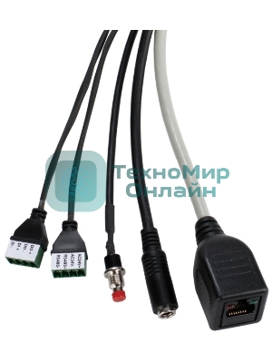 Видеокамера IP D-Link DCS-7110/UPA/B1A