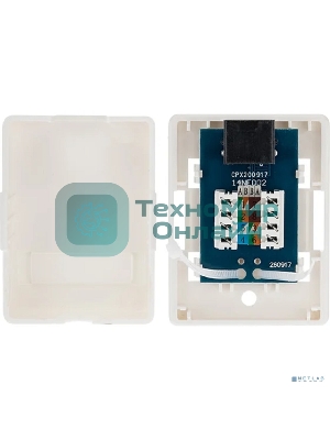 Розетка компьютерная внешняя Rexant 1-порт RJ-45 (8P8C), UTP неэкранированная, категория 6