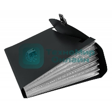 Папка-портфель Бюрократ -BPP13BLCK 13 отделений, A4, пластик, 0.7мм, черный