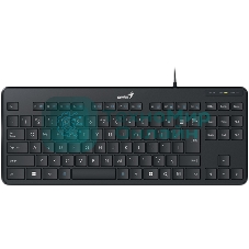 Клавиатура проводная Genius LuxeMate 110, USB, черный