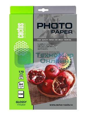 Фотобумага Cactus CS-GA4170100 A4/170г/м2/100л./белый глянцевое для струйной печати