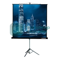 Экран на треноге Lumien 183x244см Master View LMV-100108 4:3 напольный рулонный