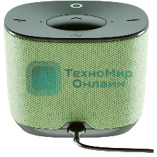 Умная колонка Sber Boom Home, 8Вт, с экраном, 1 динамик, часы, мультирум, TWS, Zigbee хаб, Wi-Fi, Bluetooth 5.0, Zigbee, Салют, фисташковый