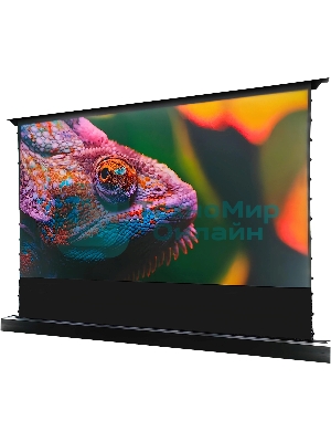 Экран Cactus 125x221 см FloorRising CS-PSFRCLR-221X125 16:9 напольный рулонный черный (моторизованный привод)