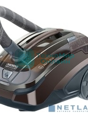 Моющий пылесос Thomas Parkett Master XT коричневый, 325/1700 Вт, уборка сухая/влажная/сбор жидкости, пылесборник контейнер 6 л